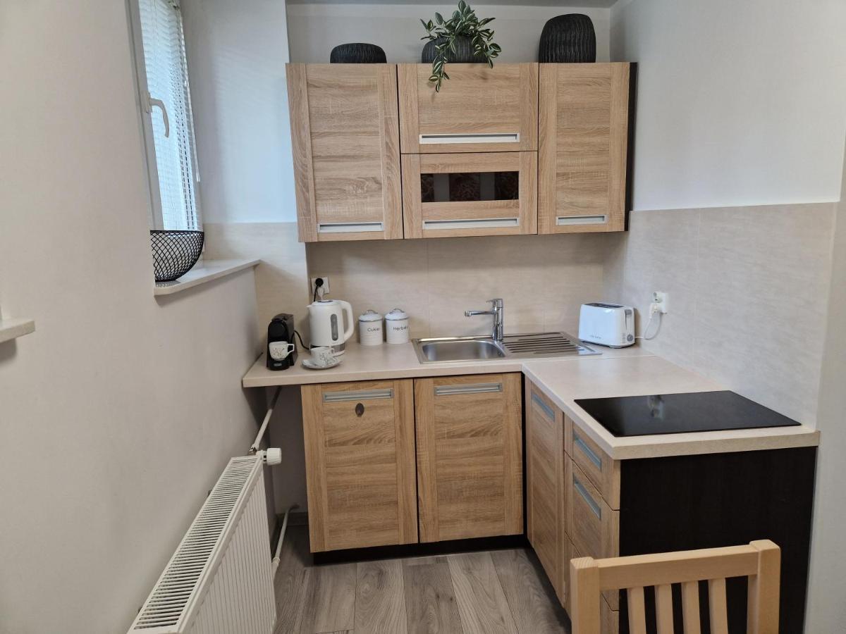 סאנוק Apartament W Srodmiesciu מראה חיצוני תמונה